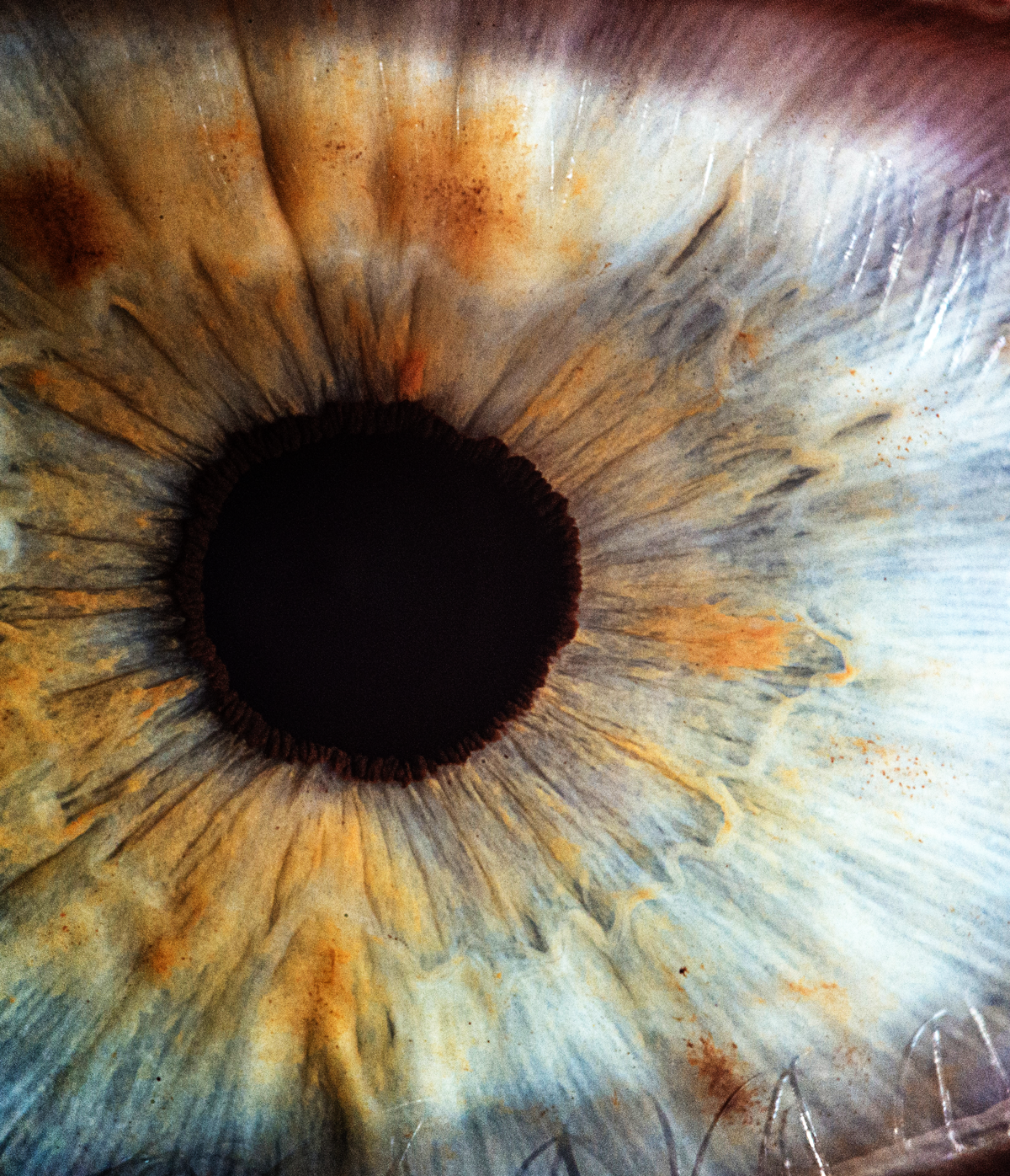 opticians in finchley