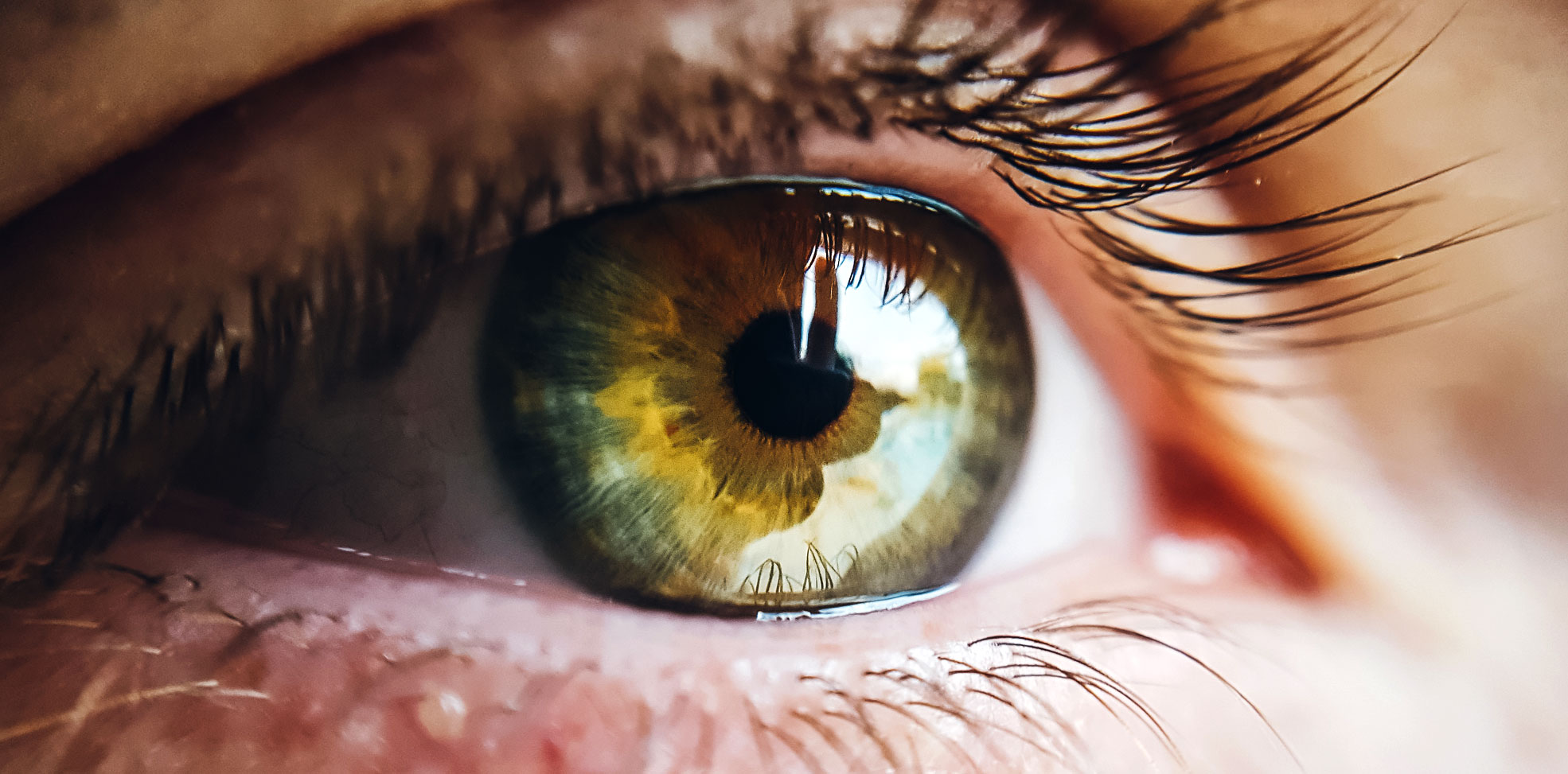 kingsley opticians finchley